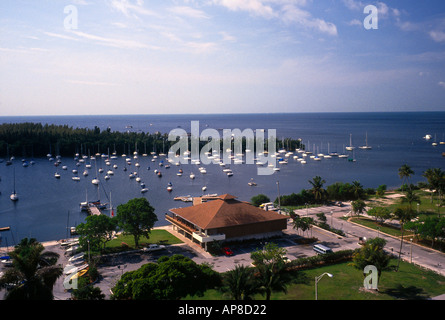 Les arbres sur l'île en mer, Coconut Grove, Miami, Comté de Miami-Dade, en Floride, USA Banque D'Images