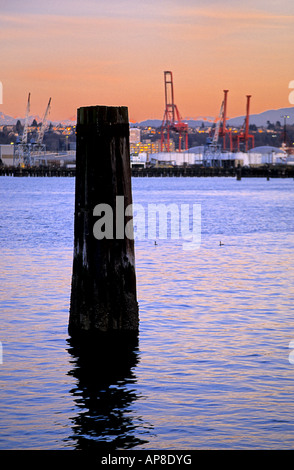 Gratte-ciel et Space Needle de Seattle vue d'un bout à l'Elliot Bay Seattle Washington USA Banque D'Images