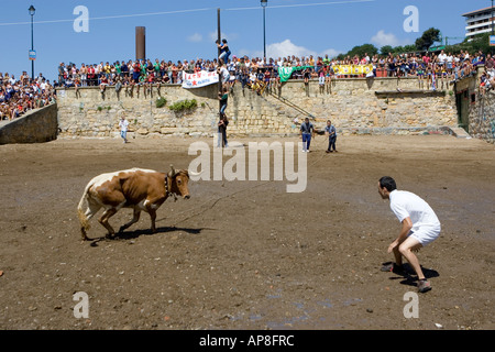 L'homme détourne l'attaché de Bull Bull Sokamuturra tour humaine l'événement Puerto Viejo de Algorta Pays Basque Espagne Banque D'Images