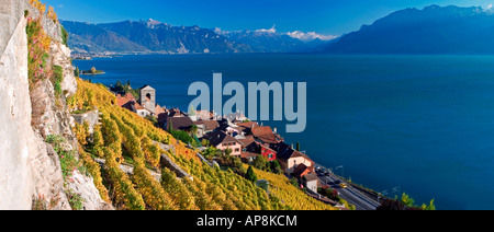 Le village de St Saphorin dans la région de Lavaux, Suisse Banque D'Images