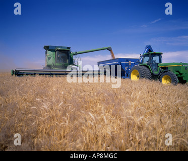 Combinant le BLÉ DE FORCE ROUX DE PRINTEMPS AVEC JOHN DEERE 9600 avec 30 HEADROW ET JOHN DEERE 4960 Tracteur Pulling KINZE 840 Banque D'Images