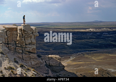 Tourisme femme debout sur une falaise, le parc national de la Forêt Pétrifiée Arizona USA Banque D'Images