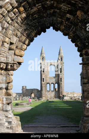 Ruines de la cathédrale St Andrews, Fife. L'Écosse. XPL 3378-332 Banque D'Images