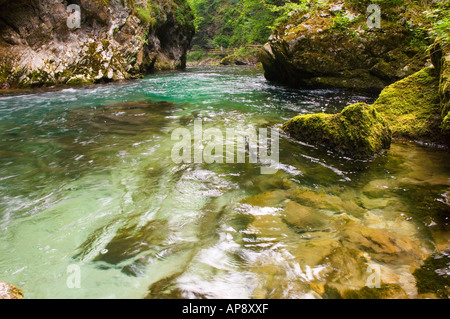 Piscine dans les gorges de Vintgar près de Bled en Slovénie Banque D'Images