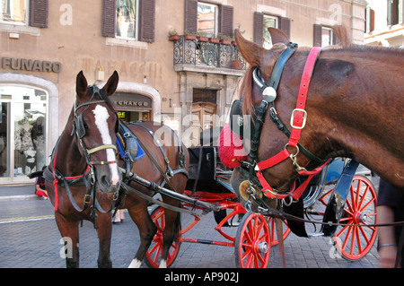 Les touristes transport chevaux dans Rome à la recherche à l'autre en attendant de nouveaux touristes de monter à bord Banque D'Images