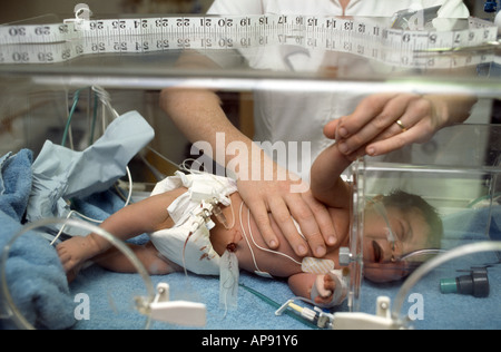 Bébé nouveau-né en couveuse Banque D'Images