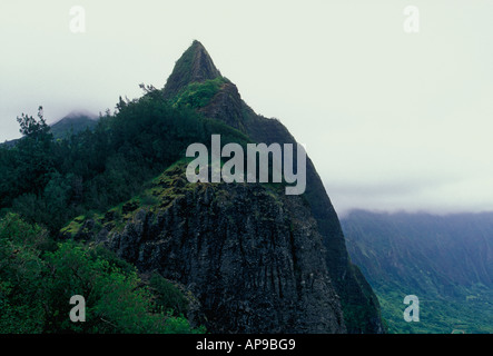 Pali Pali le long de l'autoroute de l'Île Oahu Hawaii United States Banque D'Images