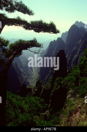 Vue depuis Huangshan, aussi appelée la montagne jaune, dans la province de Anhui, Chine Banque D'Images
