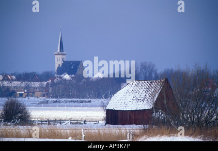 Texel moutons en hiver ou de pli stable appelé schapenboet et l'église de Den Hoorn Banque D'Images