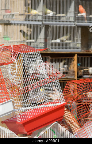 Vider les cages à oiseaux et les oiseaux dans des cages à vendre dimanche market Plaza Nueva Bilbao Banque D'Images