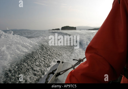 Un zodiac plein de gens sur un voyage d'observation des baleines dans la baie Trinity Bonavista Peninsula Newfoundland Canada Banque D'Images