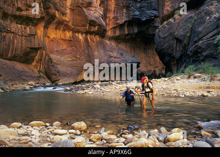 Les jeunes randonneurs traversant l'intérieur de la fourche nord Narrows Zion National Park Utah USA Banque D'Images