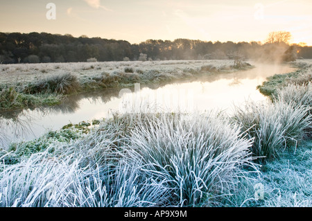 Lever du soleil sur la rivière Wey dans la prairie près de Newark Priory Pyrford Surrey England UK Banque D'Images