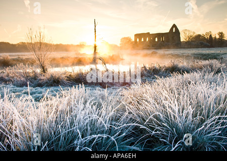 Lever du soleil sur les ruines de la Newark Priory près du village de Pyrford Surrey England UK Banque D'Images