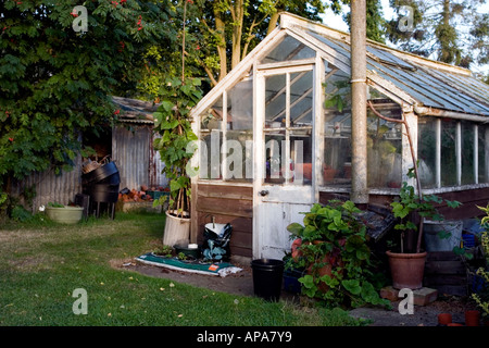 Vieille serre dans un jardin biologique anglais fortifiée Banque D'Images