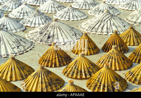 Saa-Paper Thai blanc et jaune parasols alignés sur le sol, Bangkok (Thaïlande) Banque D'Images