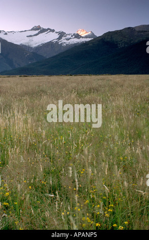 Prairie avec Mt Tititea en herbe au coucher du soleil Mt aspirant National Park Otago ile sud Nouvelle Zelande Banque D'Images