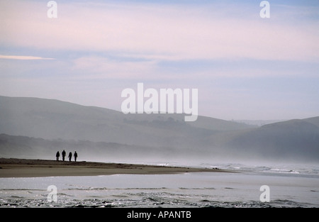 Quatre Trekkers sur Beach Parc Forestier de Catlins Otago ile sud Nouvelle Zelande Banque D'Images