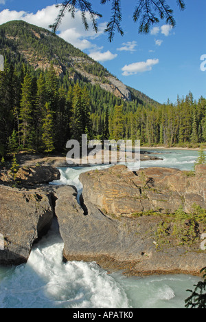 Rivière alimentés par les glaciers s'enfonce dans un trou dans la roche - Pont naturel, la rivière Kicking Horse Banque D'Images