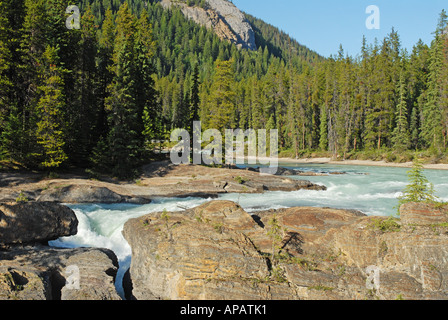 Rivière alimentés par les glaciers s'enfonce dans un trou dans la roche - Pont naturel, la rivière Kicking Horse Banque D'Images