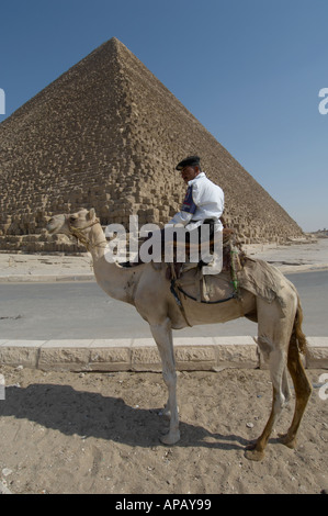 Pyramide de Chéops (Khéops) & tourist policier le chameau, Giza, Le Caire, Egypte Banque D'Images