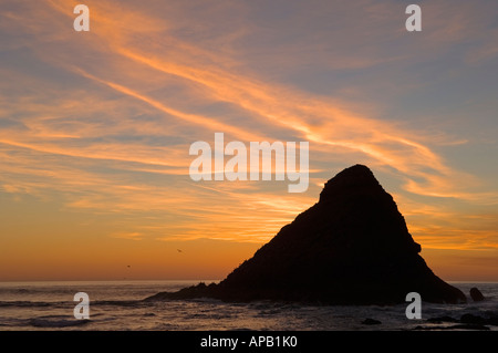 Parrot Rock au coucher du soleil Vue Heceta Head Lighthouse Devils Elbow Site d'observation de la côte de l'Oregon State Park Banque D'Images