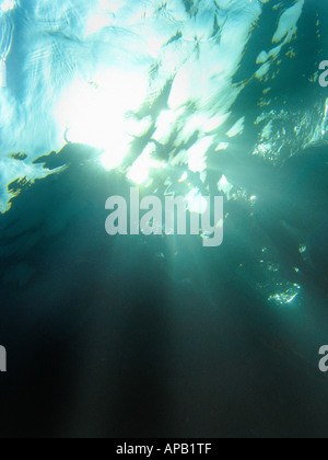 Surface de la mer prises du fond marin Banque D'Images