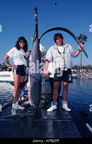 Alopias vulpinus commun requin Banque D'Images