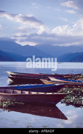 Bateaux en bois sur la rive du lac Phewa Tal, Pokhara, Népal Banque D'Images