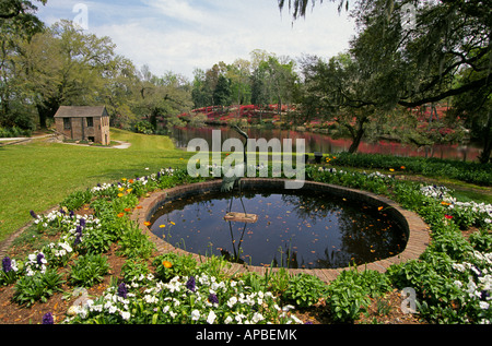 Une vue sur le parc et jardins de Middleton Place une plantation dans le quartier historique de Charleston Banque D'Images