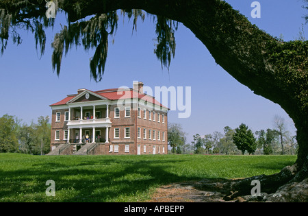Une vue sur les jardins de Drayton Hall une grande plantation dans le quartier historique de Charleston Banque D'Images