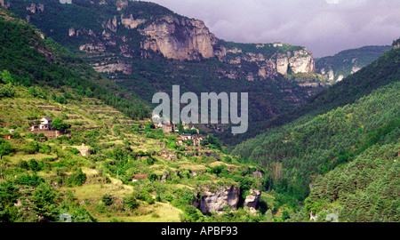 Les Gorges du Tarn en Languedoc dans le sud de la France Banque D'Images