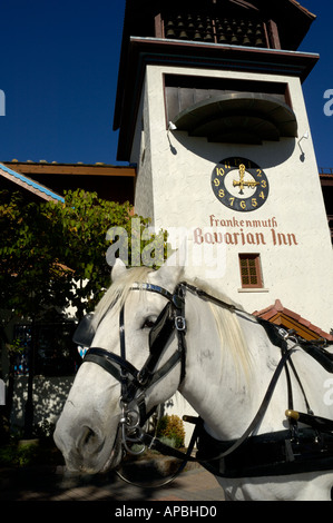 Cheval en calèche au Bavarian Inn restaurant dans la ville de Allemand-américains Frankenmuth Michigan USA Banque D'Images