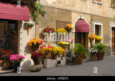 Afficher à l'extérieur d'un fleuriste à Bardolino Lac de Garde Italie Banque D'Images