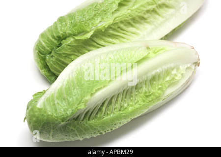Laitue légumes Cœurs de laitue romaine Laitue Cos Banque D'Images