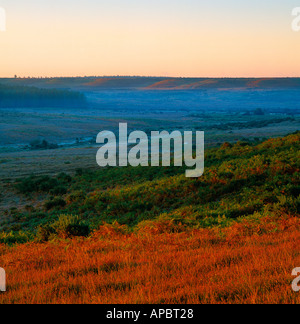 Avis de Hampton Ridge de Godshill Ridge Nouvelle Forêt Hampshire UK Banque D'Images