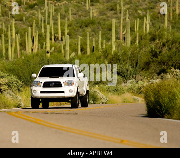 2006 Toyota Tacoma chariot roule à travers l'Arizona désert de Sonora pass à l'entrée avec des immenses cactus Saguaro tout autour. Banque D'Images
