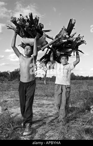 Jose (10 ans ; à droite) et Omar (8 ans) la collecte de bois de feu pour la famille, Mercees, Corrientes, Argentine Banque D'Images