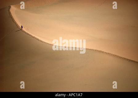Personne escalade grande dune de sable du désert du Sahara Afrique Algérie Banque D'Images