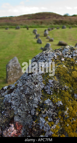 Cercles de pierres Beaghmore, Cookstown, comté de Tyrone, N. Irlande Banque D'Images