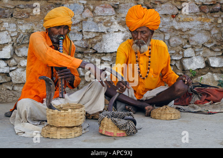 Portrait de deux vieux charmeurs de indiennes avec leurs Cobras Banque D'Images