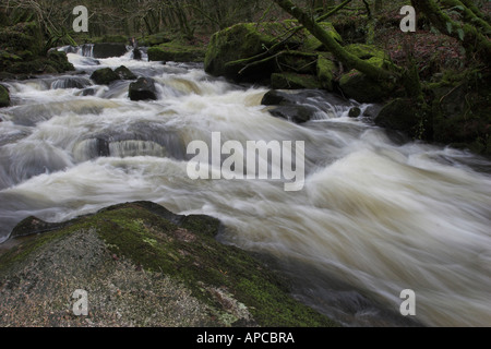 Golitha Falls, réserve naturelle nationale de la rivière Fowey coule dans une gorge boisée dans une série de cascades spectaculaires Banque D'Images