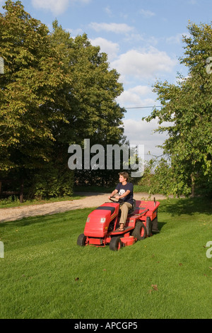 À l'aide d'un tour sur le tracteur à essence tondeuse pour couper l'herbe jardin pelouse avec conteneur de ramassage Banque D'Images