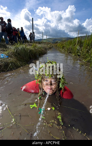 La 21e édition de Bog snorkelling championsips à Llanwrtyd Wells, Royaume-Uni. Banque D'Images