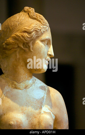 Une statue de la Venus de Carthage dans le Musée du Bardo Banque D'Images