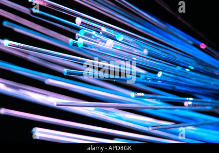 Les câbles à fibres optiques Banque D'Images