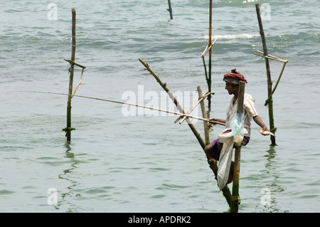 Pêcheurs sur pilotis sur la côte sud du Sri Lanka © Mark Shenley Banque D'Images