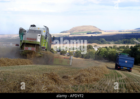 La vie agricole : temps de récolte Banque D'Images