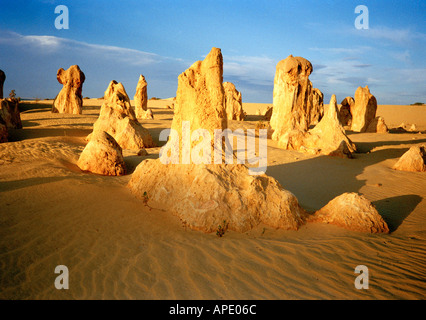 L'Australie, l'Australie occidentale, le Parc National de Nambung, Le Désert des Pinnacles, Rock Formations Banque D'Images