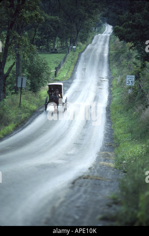 Buggy Amish, Belleville, PA Banque D'Images